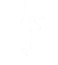 Chemical anchor system